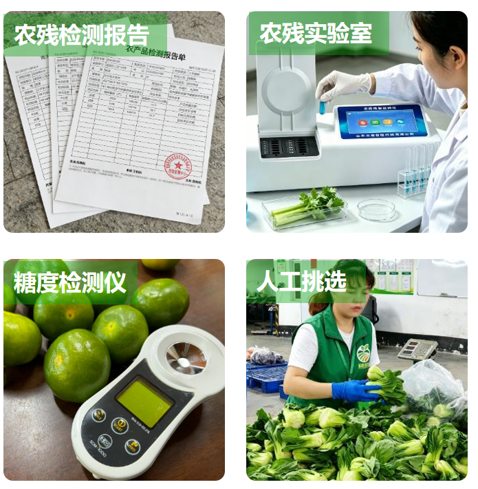 稳定的供货渠道